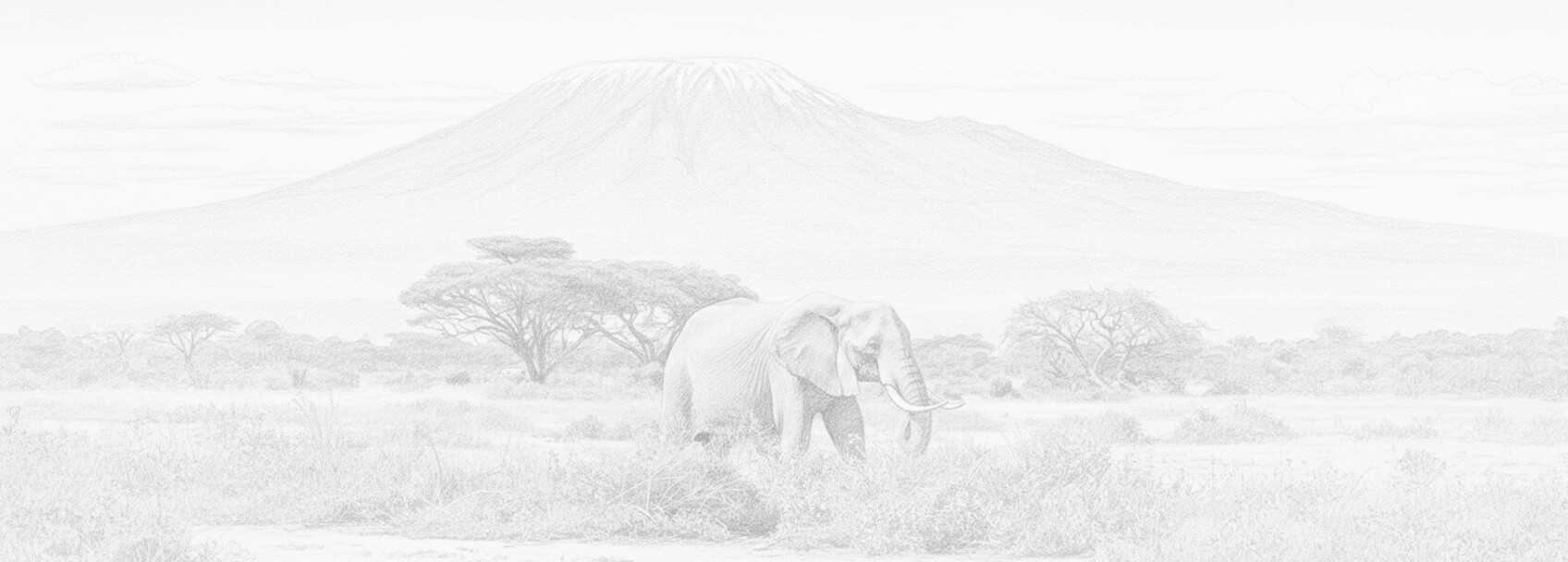 Domanda di visto Camerun e requisiti