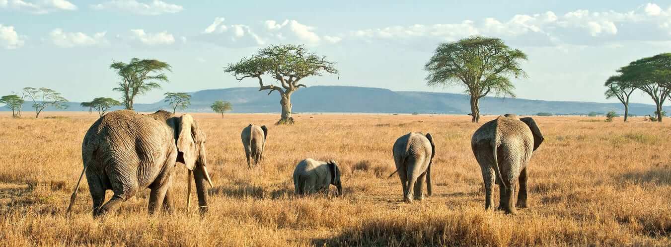 Domanda di visto Tanzania e requisiti